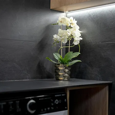 Lejlighed Nowoczesny Z Parkingiem W Sasiedztwie Starego Zoo By Renters